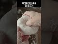 할머니의 장독대에는 비밀이 있다…❤️ #할머니집 #조선시대 Mp3 Song