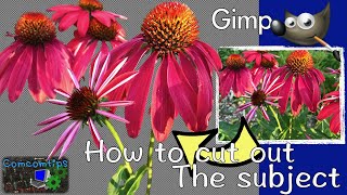 Gimp Tutorial: How to remove the background / Cutting out an image, Make the background transparent