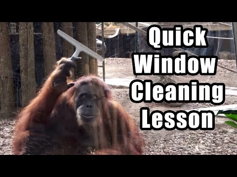 Try This fun window cleaning trick next time you have to get gas