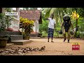 මිදිගම|sin