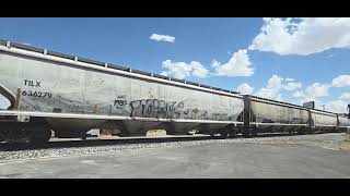 BNSF single engine leads a empty grain train on the GSR with a rear DPU in central El Paso TX 