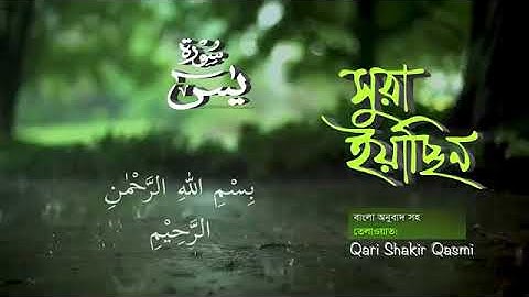 036) সূরা ইয়াসীন  Surah Ya-Sin হৃদয় ছোঁয়া سورة يس‎ অনুবাদ |qari Sakir Qasmi |
