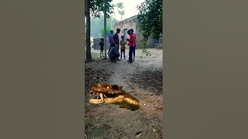 Boys are Attack #anacondasnake #anaconda #bigsnake #python #snake  #nagin #shorts