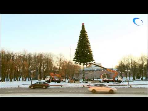 На площади Победы Софийская идет установка главной новогодней елки  Великого Новгорода
