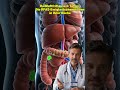 Heißluftfritteuse & Teflon: Die PFAS-Ewigkeitschemikalien in Ihrer Küche #DrJonasStein