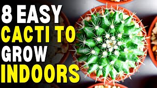 8 Cacti To Grow Indoors In Your Home! | How To Care For Cacti Indoors by When You Garden 78 views 3 months ago 6 minutes, 26 seconds