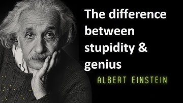 The difference between stupidity & genius  Albert Einstein Quotes