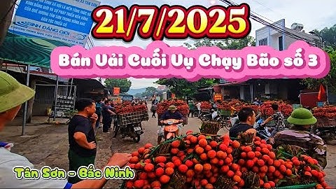 VÙNG CAO TẤT BẬT BÁN VẢI THIỀU LỤC NGẠN TRƯỚC CƠN BÃO SỐ 3 ( BÃO WIPHA) I NÚI ĐỒI LỤC NGẠN