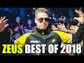 ЛУЧШИЕ МОМЕНТЫ ЗЕВСА ЗА 2018 ГОД / ZEUS HIGHLIGHTS OF 2018 CSGO