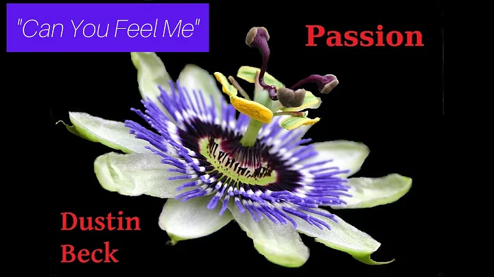 "Can You Feel Me" - Dustin Beck Original - Track #...