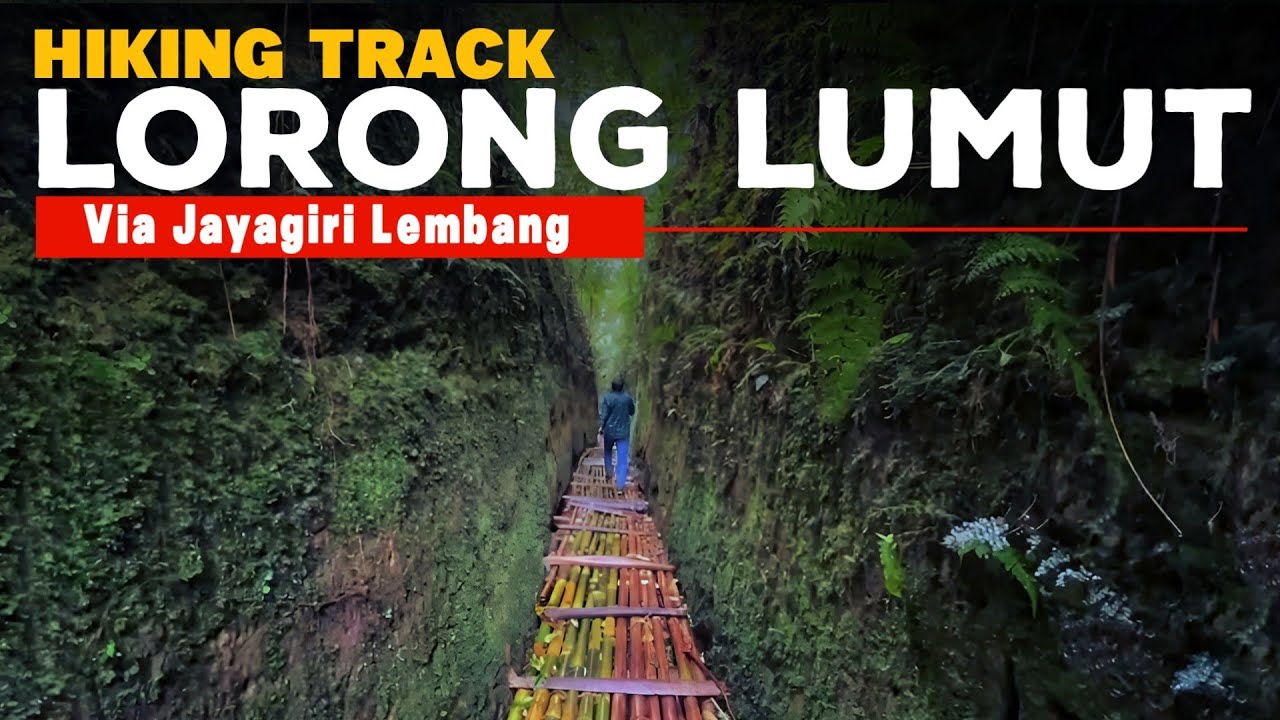 ADA APA DI LORONG LUMUT?? Hiking Track Menuju Lorong Lumut via Jayagiri ...