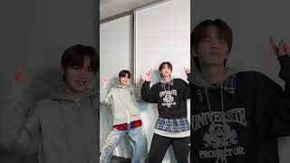 #MAXLOVE TWS K-pop group members dance TO STUPID IN LOVE 🥰 via @tws_pledis #MAX #TWS #LESSERAFIM