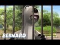 Bernard Bear | The Zoo AND MORE | 30 min Compilation | Cartoons for Children