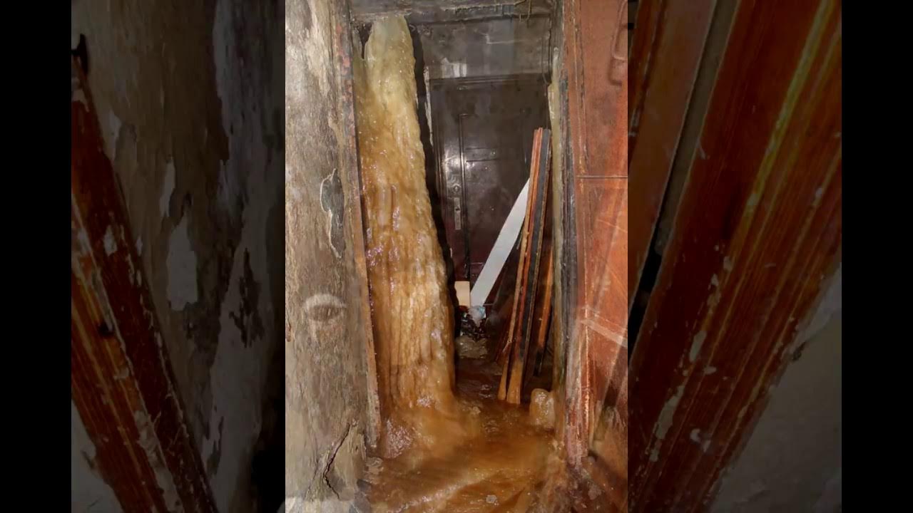 выдерживший