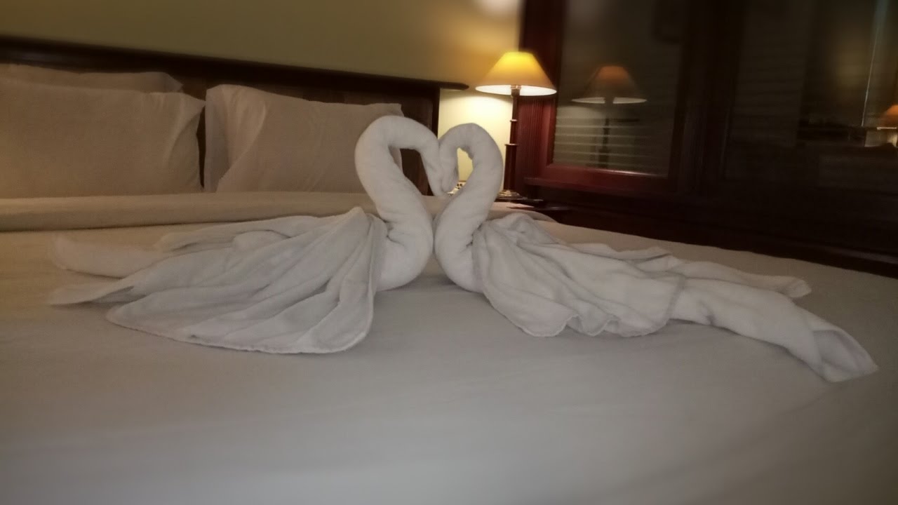  Swan  towel Design towel folding hiasan handuk  