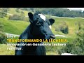 Transformando la Lechería: Innovación en Ganadería Lechera Familiar - TvAgro por Juan Gonzalo Angel