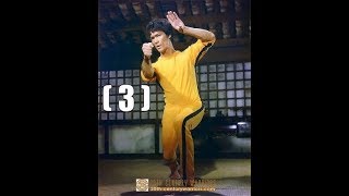 تدريب كونغ فو للمبتدئين الدرس 3 kung fu 功夫 武术