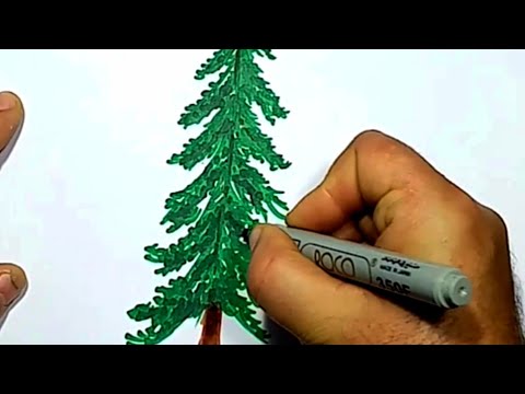 رسم شجرة بكل سهولة دقيقة فقط