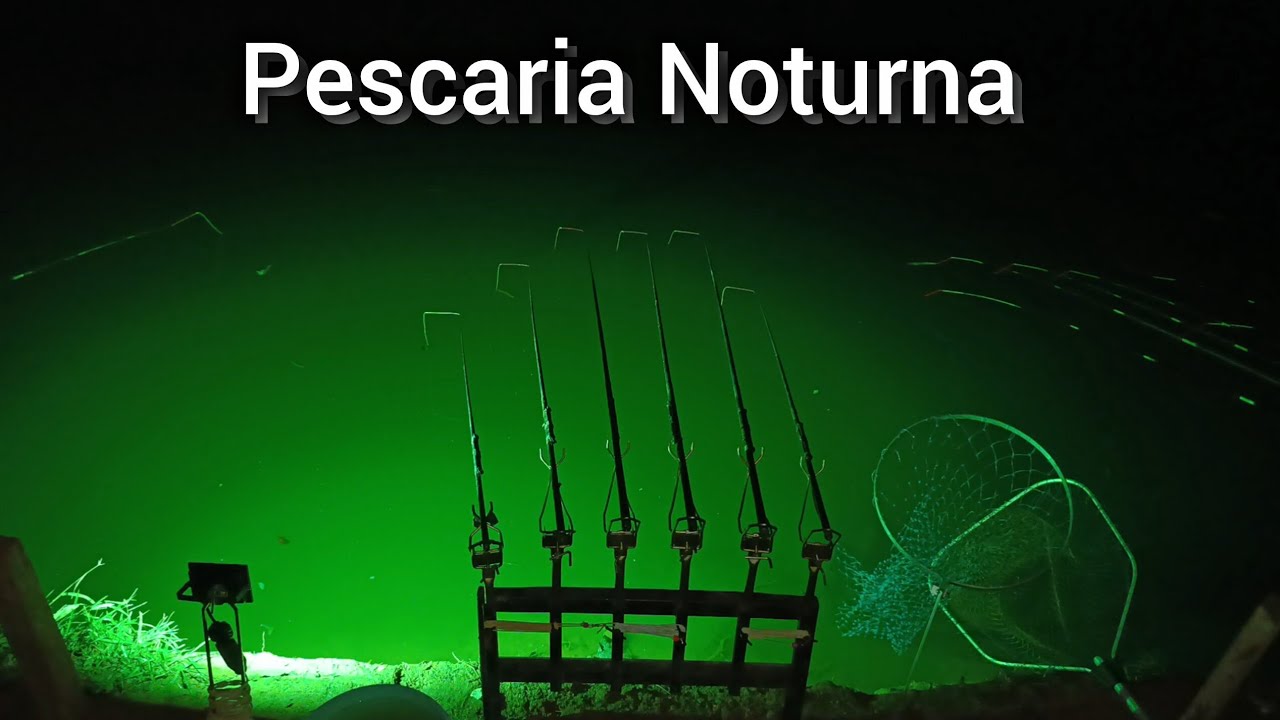 COM ESSA LUZ VC FISGA NO MOMENTO CERTO, PESCARIA DE TILÁPIA NA DIÁRIA PESQUEIRO SANPITER 