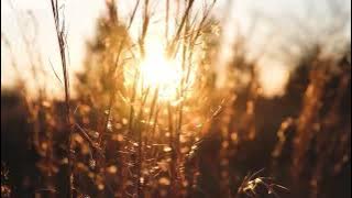 André Rieu | And The Waltz Goes On | Composed by Anthony Hopkins | Extended