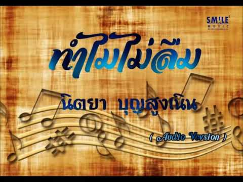 ทำไมไม่ลืม | นิตยา บุญสูงเนิน [ Audio Version Official ]