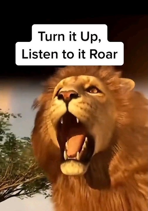 TikTok Lion Live Gift #shorts #shortvideo