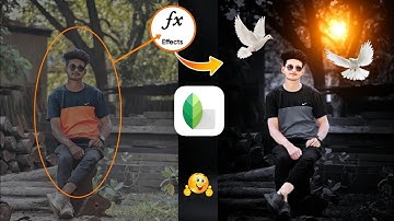 Snapseed Grey And Bird Effect Photo Editing Tricks | Snapseed Background Colour Change Tutorial