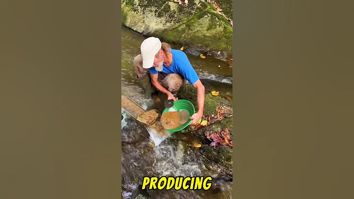 Virginia Gold Prospecting