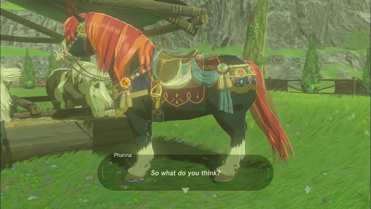 Where To Get Saddles And Bridles Botw Zelda BotW: All Horse Gear (Saddles & Bridles) - YouTube