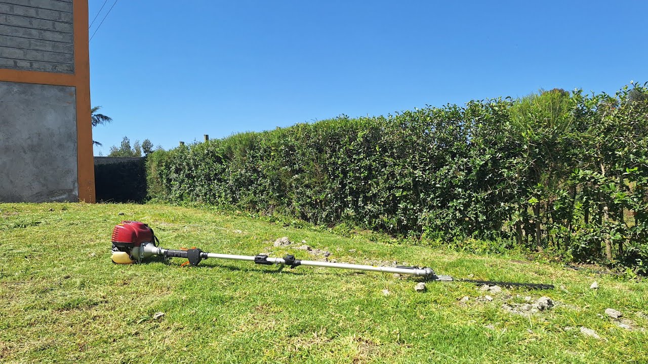 Hedge trimming. k-apple hedge trimming at its best.