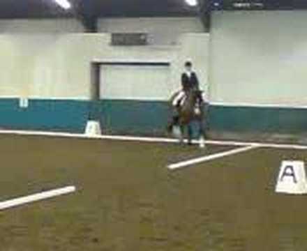 Helen Spence from mary bowlers - dressage test in ...