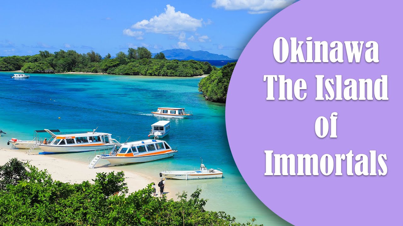 Japan, Okinawa the island of immortals YouTube