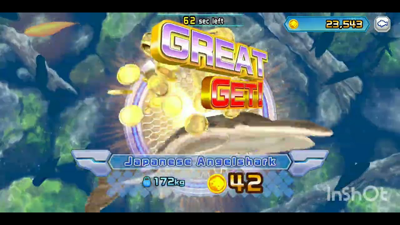 Ace angler 6th Stage: Rocky Stretch #aceangler #einardewanto