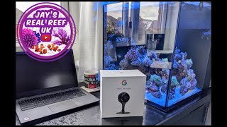 8 Month Show n Tell, Hammer Coral Care and some New Tech! by Jay's Real Reef UK 2,300 views 2 years ago 22 minutes