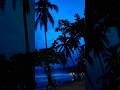 Tropical Sunset #musik #beach #nature #sunset