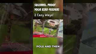 Squirrel-Proof Your Bird Feeders! 🐿️ 2 Easy Ways #shorts