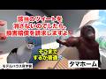 【タマホーム】戸建てバブル崩壊と度重なる炎上で客離れが止まらない大手住宅メーカー #猫マニ #猫ミーム