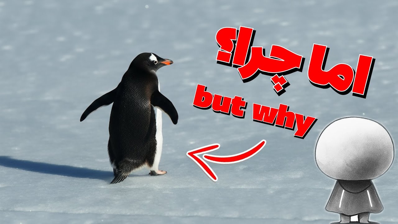 داستان عجیب ترین پنگوعن اینترنت چیه؟! (پنگوعن ایرانی)