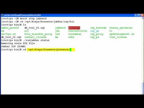 How to use the backup.sh tool in Avaya Presence Services