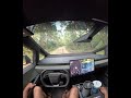 Cybertruck FSD V14.3.2-Sharing the narrow unmarked dirt wood road with oncoming vehicle