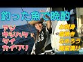 釣った魚で晩酌🎵お刺身・塩焼き・南蛮漬け・なめろう・キジハタ・タイ・カイワリ・アジ・釣り🎵日本酒ビール飲みました🎵田舎飯