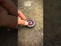 This is cute Giant African millipede best in the world #millipede