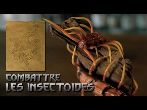 Lesson on INSECTOIDS (Endriague, Kikimorrhe, Arachas)! - The School of the Phoenix #10 (The Witcher)
