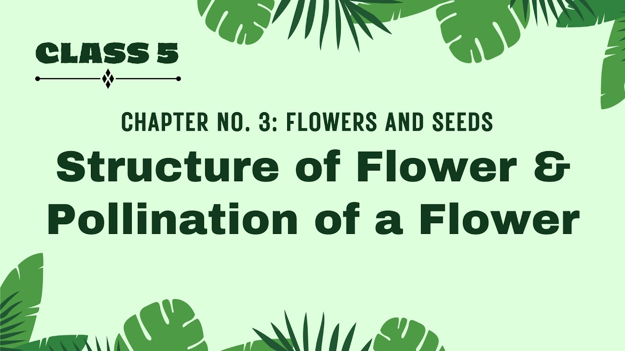 Grade 5 CH 3 Lesson 1: Structure of Flower & Pollination of a Flower ...