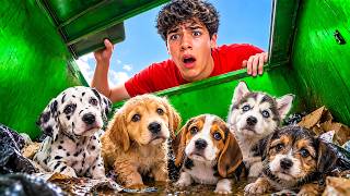 I Found 10 Lost Puppies in a Dumpster... I COULDN'T STOP CRYING! | The Royalty Family