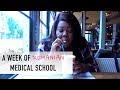 STUDYING MEDICINE IN EASTERN EUROPE FROM ENGLAND