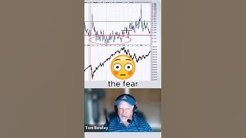 Market Expert Insights on the Equity Only Put/Call Ratio