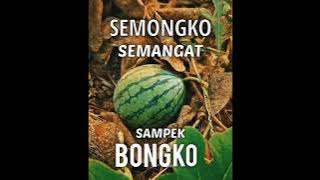 TARIK SIS SEMONGKO | STORY WA