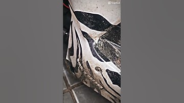 Losi tenacity db pro