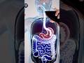 See Alcohol BURN Your Stomach Lining. #anatomy #humanbody #3danimation